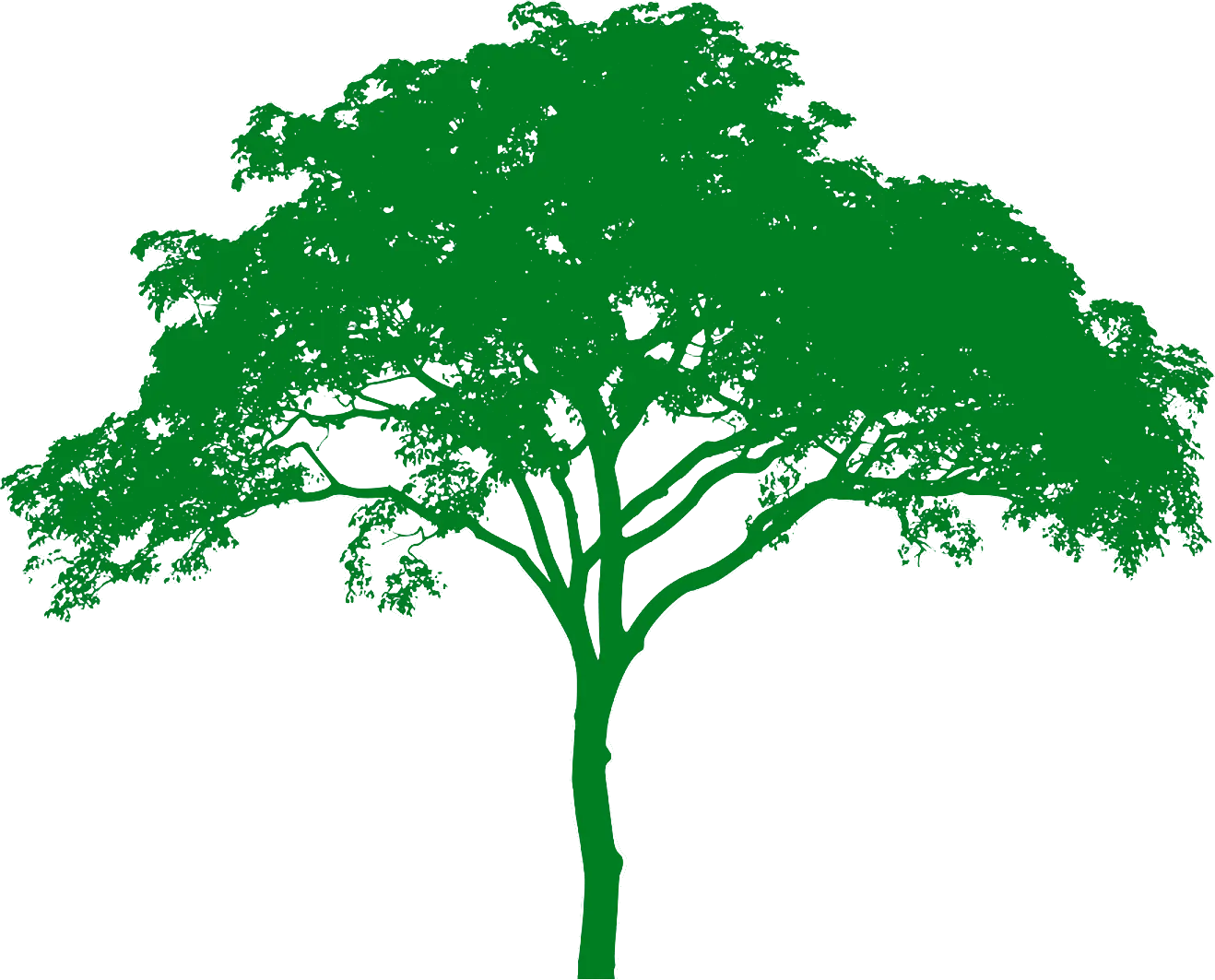 green-tree-logo-greenc